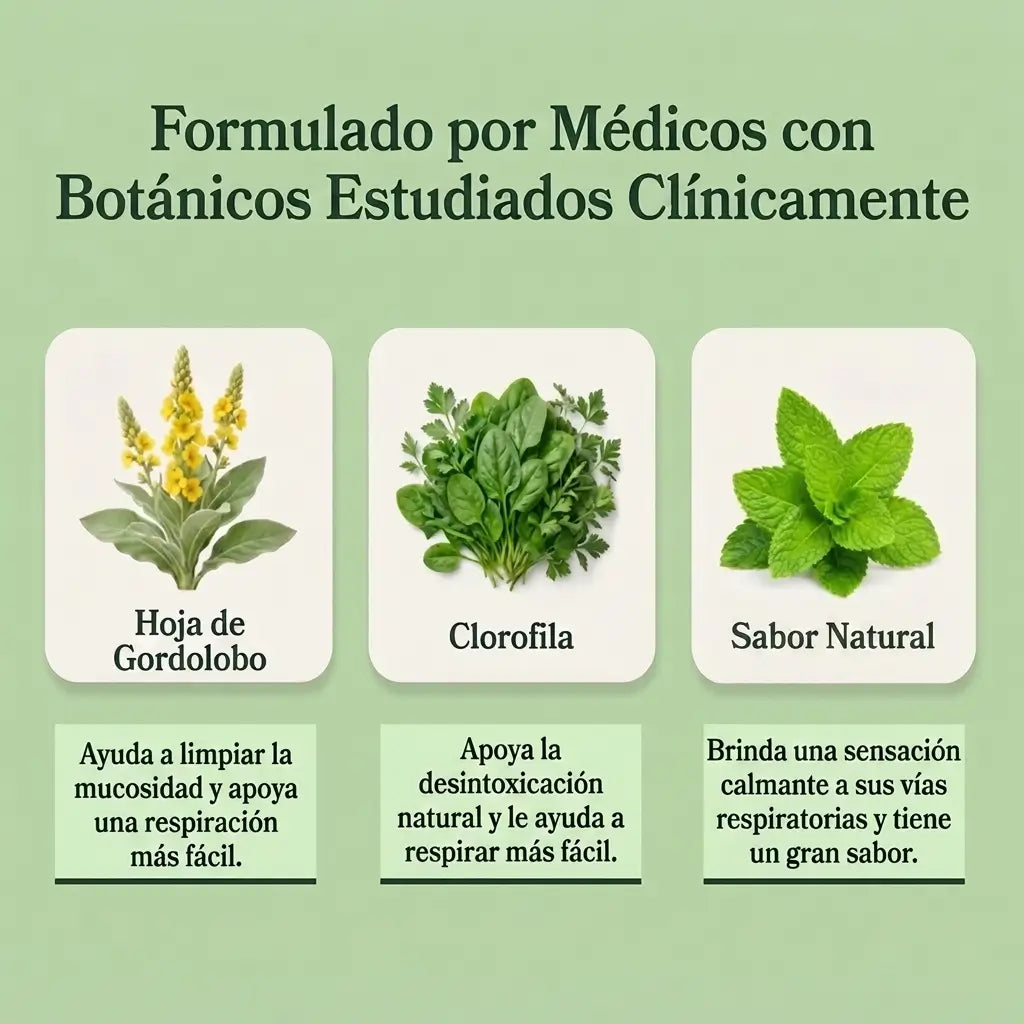 Gordolobo + Clorofila: Descongestiona tus pulmones